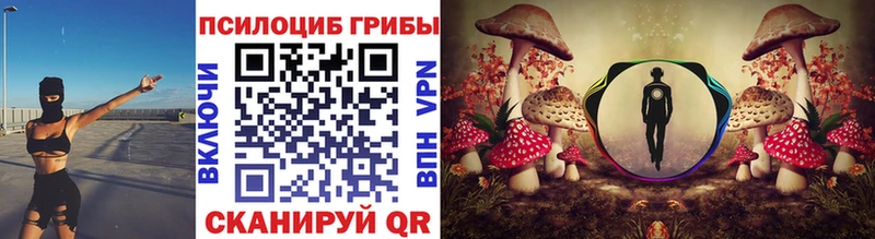 Галлюциногенные грибы Magic Shrooms  блэк спрут онион  Опочка  что такое наркотик 